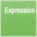 Expression